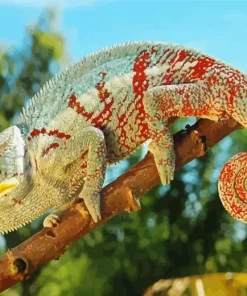 Panther Chameleon on Branch Diamond Painting
