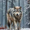 Siberian Wolf Diamond Painting