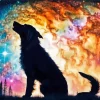 Wolf Galaxy Silhouette Diamond Painting