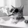 Cat Smoking in Bathroom Diamond Painting