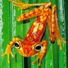 Chachi Tree Frog Diamond Painting
