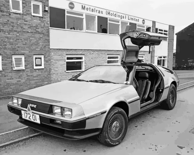 Black and White DeLorean Diamond Paintings Black and White DeLorean Diamond Painting