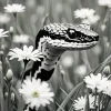 Black and White Snake in Daisies Diamond Painting
