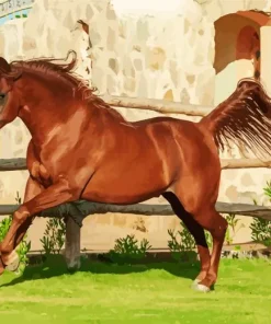 Chestnut Arabian Horse Diamond Paintings