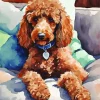 Cinnamon Poodle Diamond Painting