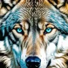 Wolf Face Diamond Painting